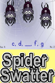 Spider Swatter